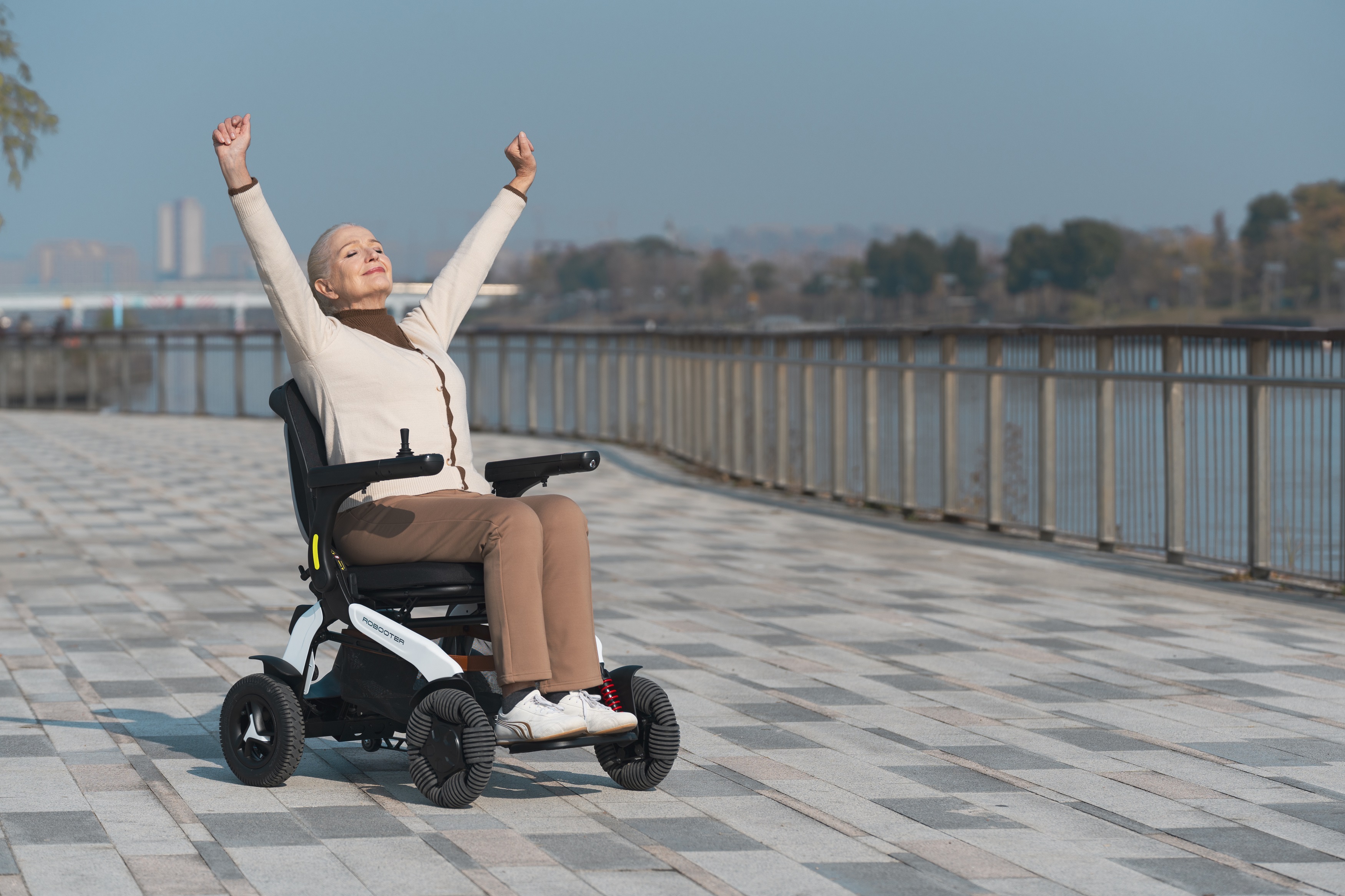 All Terrain Electric Wheel Chair