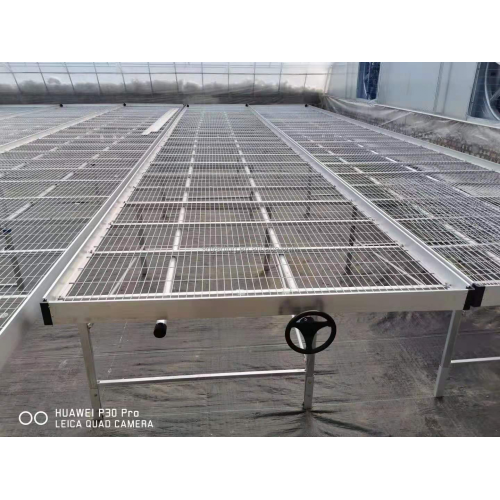 Agriculture Seed Bed for Vegetable Greenhouse Manufacturers and Agriculture Seed Bed for Vegetable Greenhouse Suppliers