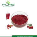 Natural Cranberry Extract With 25% Proanthocyanidins