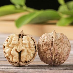 Natural In-shell Walnuts from Yunnan Dapao