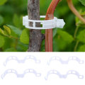 Plastic Plant Support Clips 50/100Pcs Vine Tomato Stem Vegetable Fixing Clip Garden Greenhouse Accessories 30mm Plant Clips