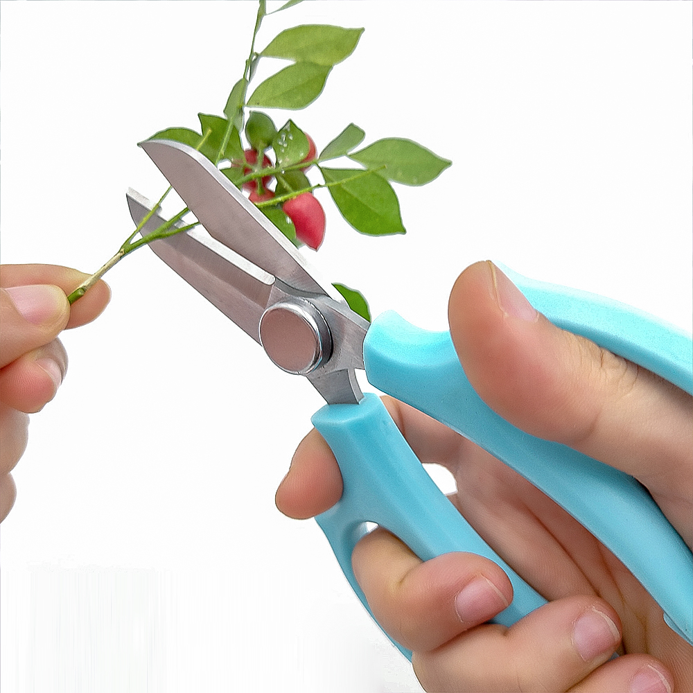 Garden Pruner Stainless Steel Tree Pruning Tool Garden Scissors Fruit Picking Scissors Trim Weed Small Scissors Gardening Tools