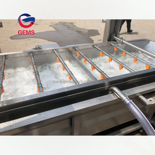 Lemon Sea Cucumber Washing Machine Kelp Washing Machine for Sale, Lemon Sea Cucumber Washing Machine Kelp Washing Machine wholesale From China