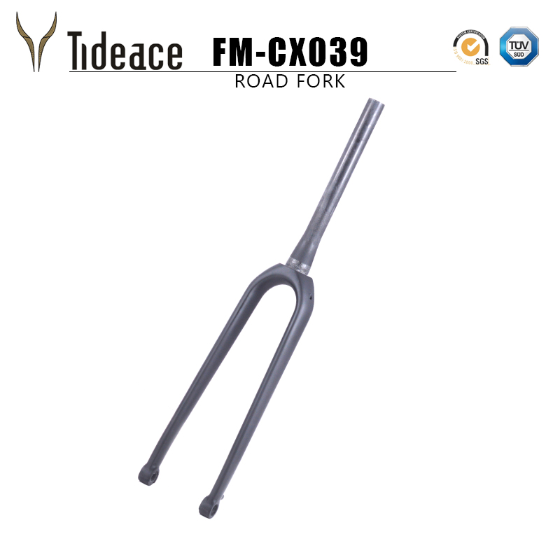 Post Mount Disc Brake fork Gravel Bike fork with thru axle 700C Carbon Tapered cyclocross CX Bike Fork 100*15mm for CX frame