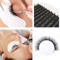 Quewel Flat Lashes Extension For Professionals Ellipse Flat Lash Split Tip profession Soft Silk Quewel Flat Eyelash C/D Curl