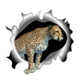 Three Ratels QM25 3D Animal stickers wild cheetah wall stickers home decoration living room car sticker
