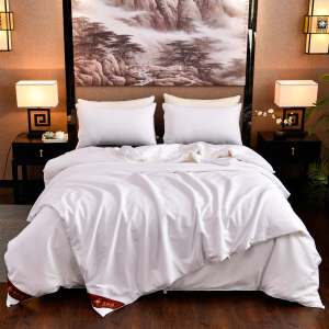 Eco-Friendly Silk Quilt Perfect for Autumn Nights