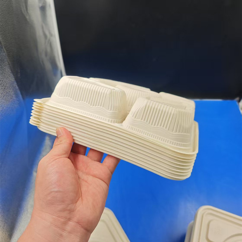 PLA box 041805