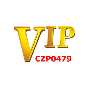 VIP CZP0479 New Heart Custom Made Photo Angel Wing Pendant Necklace For Women Men's Hip Hop Jewlery Cubic Zircon Commemorate