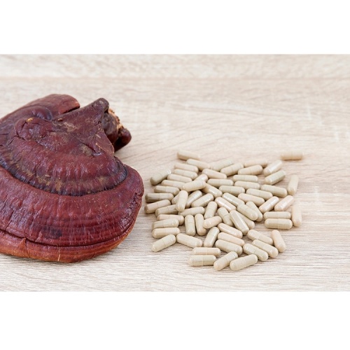 Reishi Mushroom Powder Lingzhi Ganoderma Lucidum Extract for Sale, Offer Reishi Mushroom Powder Lingzhi Ganoderma Lucidum Extract