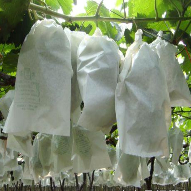 100Pcs Grape Protection Bags For Fruit Vegetable Grapes Mesh Bag Against Insect Pouch Waterproof Pest Control Anti-Bird Garden