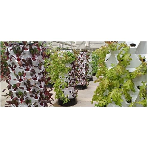 Manufacturing greenhouse smart hydroponic growing systems Manufacturers and Manufacturing greenhouse smart hydroponic growing systems Suppliers