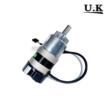 Black Silver Planetary DC Gear Motor