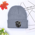 2019 New car logo Winter Hats Casual Beanie For Men Women Fashion Knitted lexus peugeot Winter Hat Skullies Hat