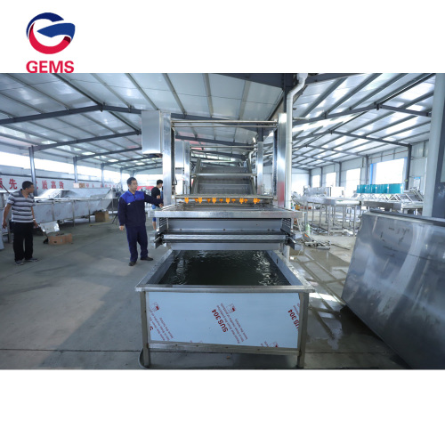 Maize Walnut Cleaning Machine Chickpea Cleaning Machine for Sale, Maize Walnut Cleaning Machine Chickpea Cleaning Machine wholesale From China