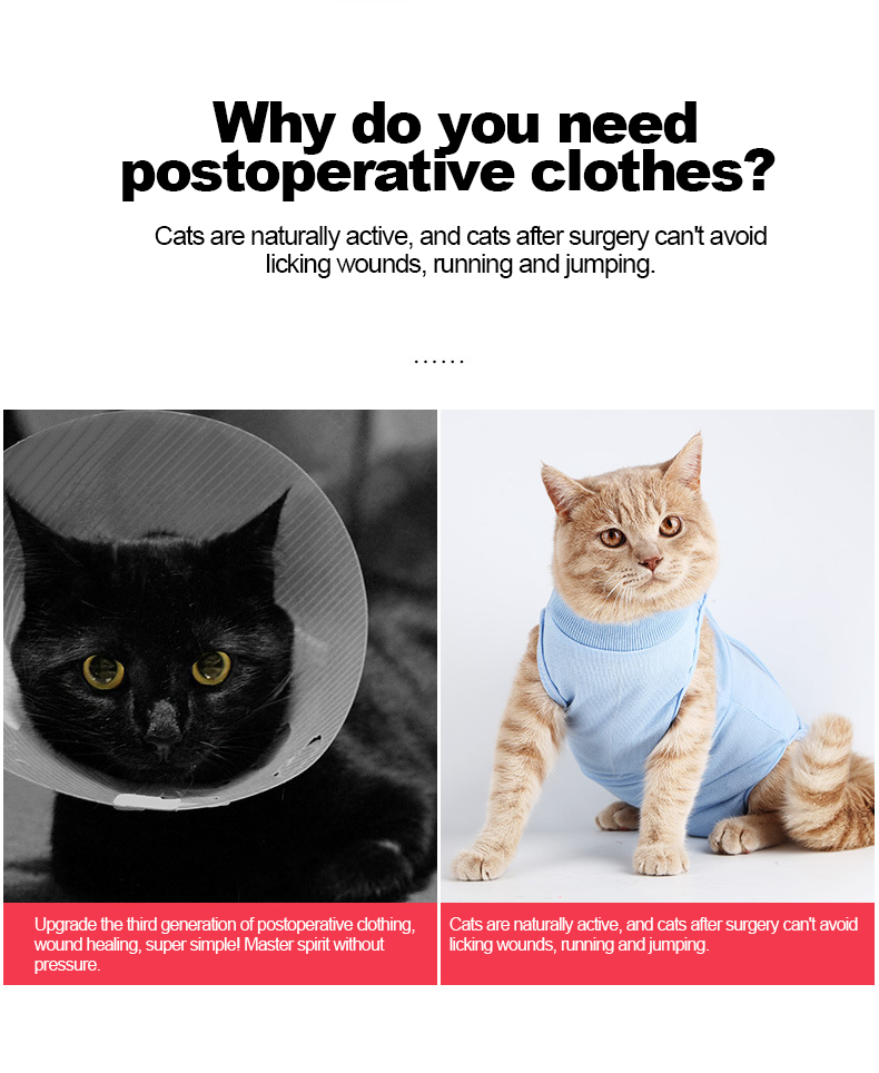 Surgical Clothes Jpg