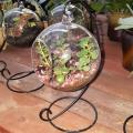 Glass Ball Vase Glass Aquarium Fish Tank Hanging Flower Pot Hydroponics Plant Vase Home Decoration