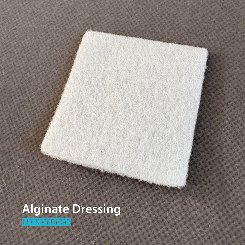 Alginate Dressing 5cm 01