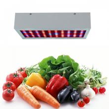 Diode LED 3W LED Grow Light