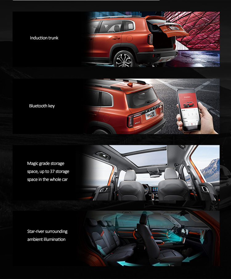 All New Haval Dargo