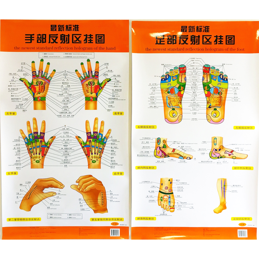 The Newest Standard Reflection Hologram of the Hand / Foot Bilingual charts Chinese and English for Self Care