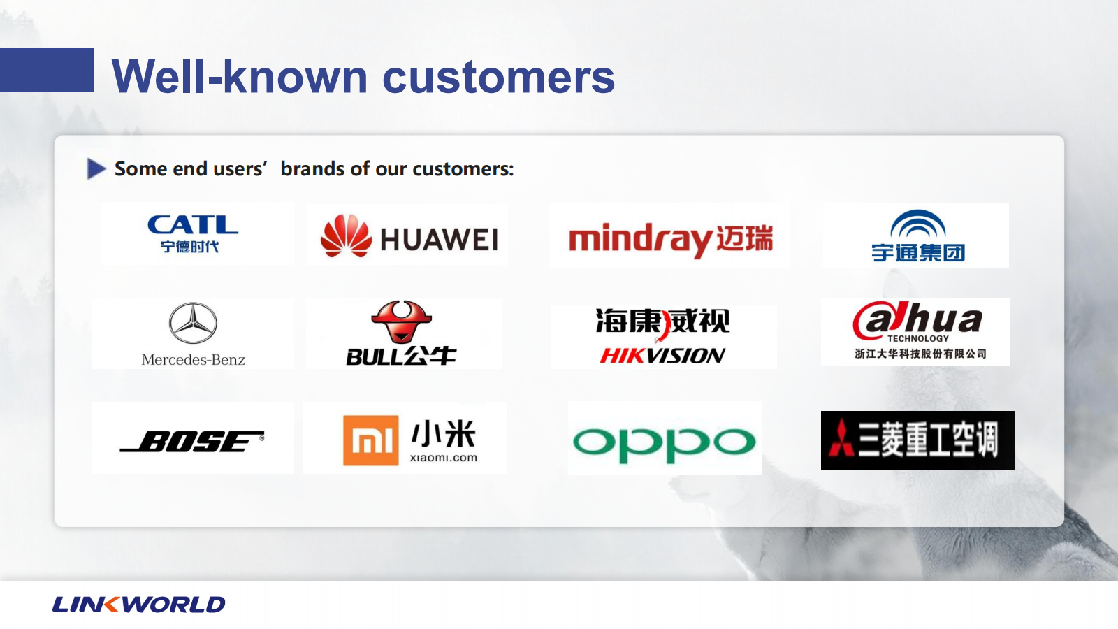 Company Presentation_11