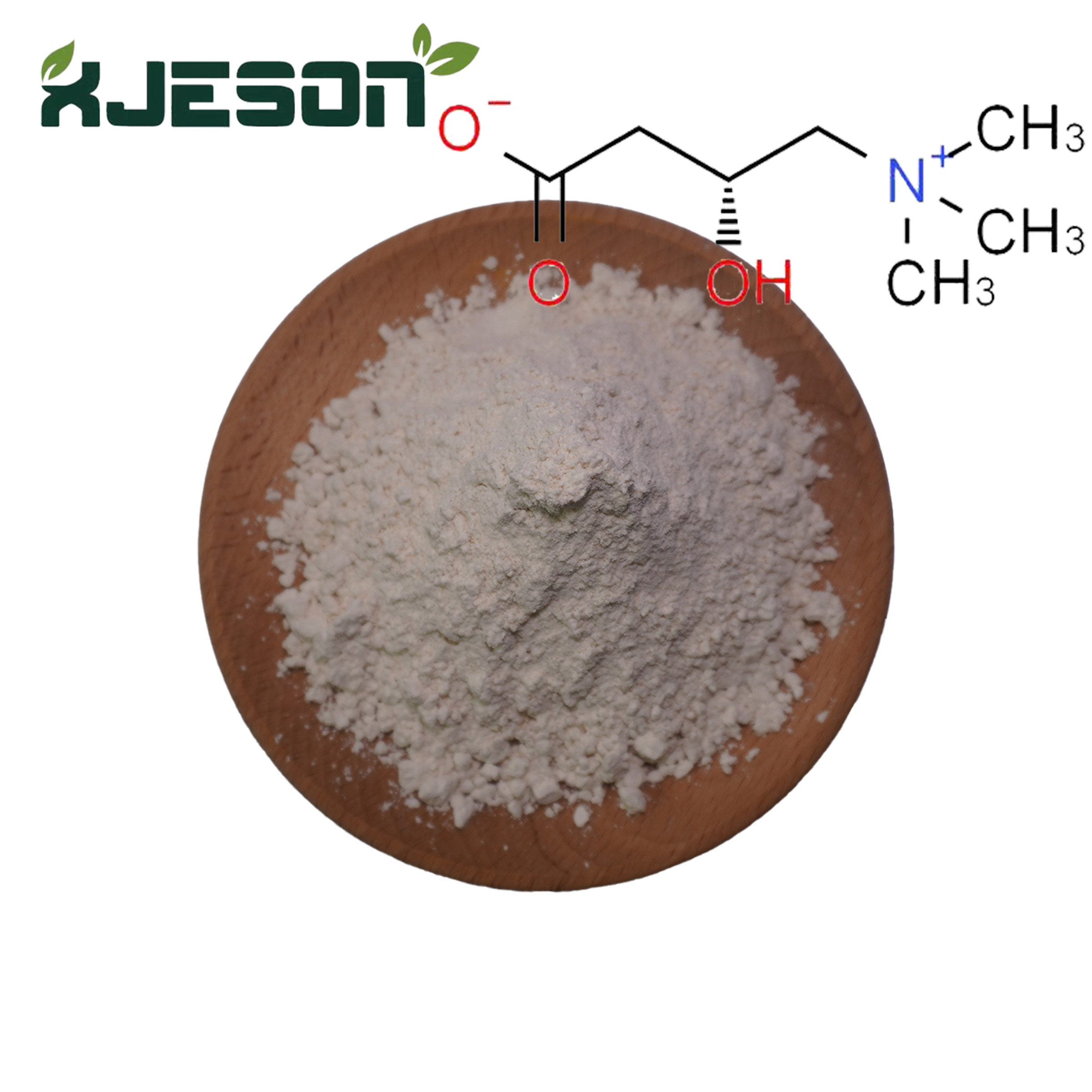 l carnitine/acetyl l carnitine