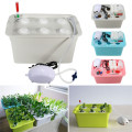 110V 6 Holes Plant Site Hydroponic Systems Indoor Nursery Pots Garden Soilless Cultivation Plant Seedling Grow Kit Cabinet Box