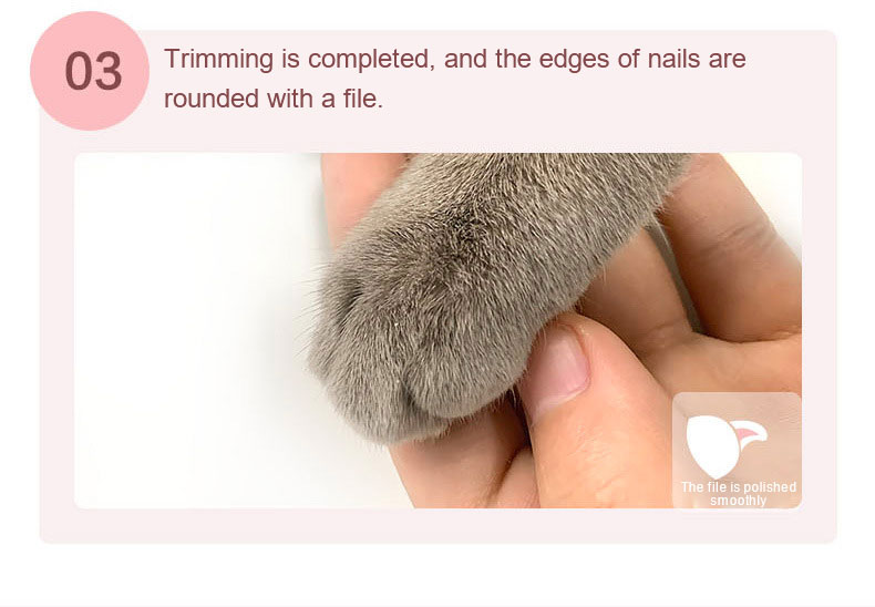 Pet Nail Jpg