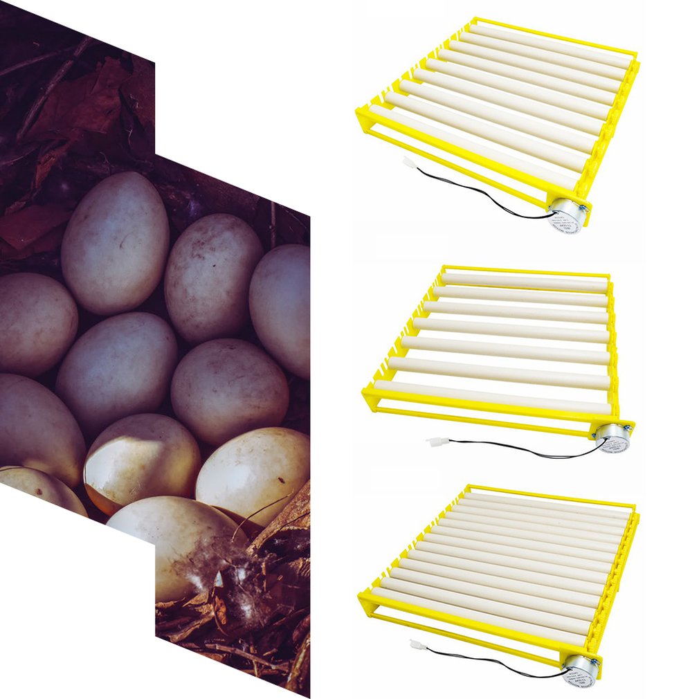 Plastic Eggs Incubator Accessories Durable Rotary Automatic Roller Pattern Egg Turner Tray Household Egg Tray
