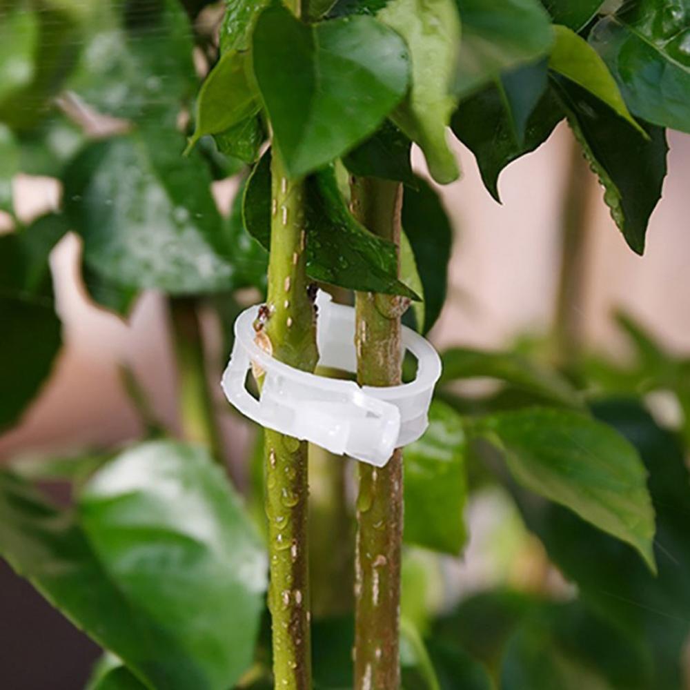 Plant Vines Support Clips Tomato Stem Vegetable Fixing Clip Garden Greenhouse Fruite Tied Buckle Lashing Hook Fixed Clip