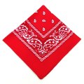 outdoor Bandana Square Scarf 55cm*55cm Black Red Paisley Headband Printed For Women/Men/Boys/Girls