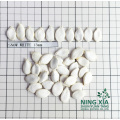 Non-GMO Snow White pumpkin seed kernel for Sale