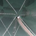 Foldable Design Automatic Fishing Net Shrimp Cage Folding Fishing Crab Fish Trap Cast Net Cast Fishing Accessories