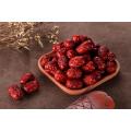 Xinjiang Hotan Red Jujube