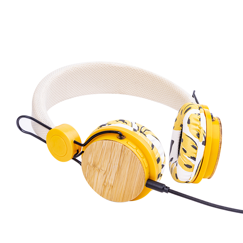 wired wireless headphone