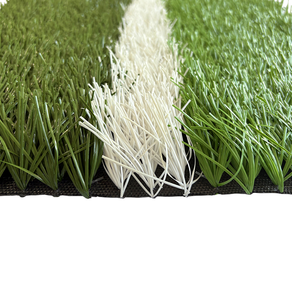 Football grass  L6P0