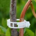 50/100pcs 30mm Plastic Plant Support Clips For Tomato Hanging Trellis Vine Connects Plants Greenhouse Vegetables Garden Ornament