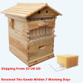Automatic Honey Bee Hive House Honey Collection Wooden Food Grade Box Bee Hive Frame Beehive Box Beekeeping Box Tools Supplies