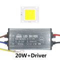 20W and Driver