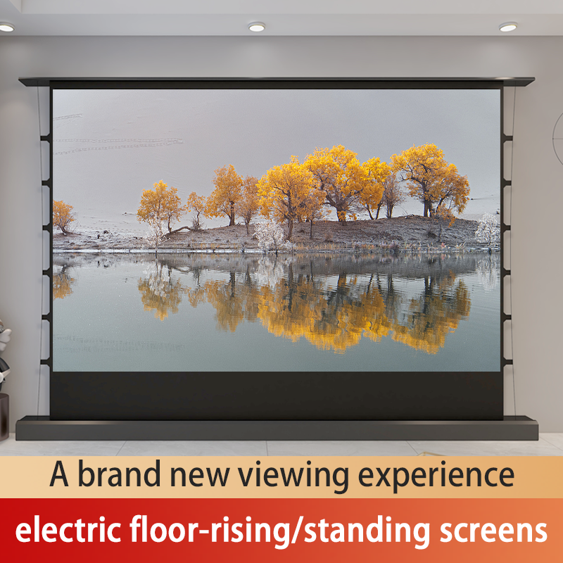 Electric In-Ceiling Screens