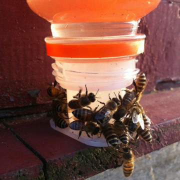 3pcs Bee Feeder Honey Entrance Feeder Drinking Fountain Equipment Plastic Beekeeping Equip Hive Gardening Tools Accessories
