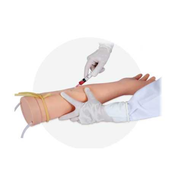 Arm Model for Intravenous Injections