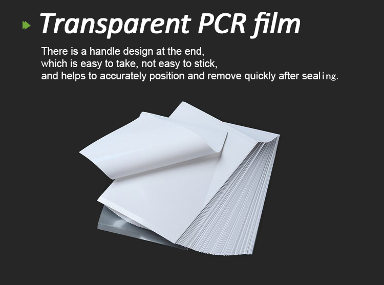 pcr plate