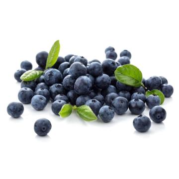 Top value blueberry extract for eyes