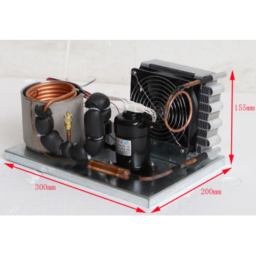 PURSWAVE ST19W DC Mini refrigeration system 12V24V48V Tiny compressor water cooling units with condenser evaporator thermostate