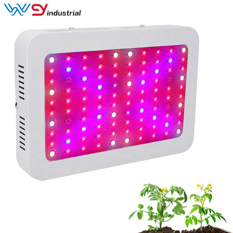 1000W LED Grow Light kit for seedlings