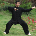 USHINE cotton 5 colors high quality children's clothing Martial Arts adult Kungfu Wing Chun Wushu costume Taichi uniform Man