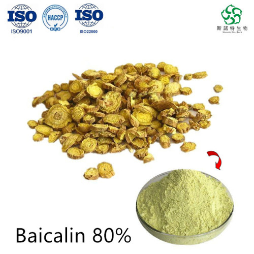 Barbed Skullcap Extract Baicalin 80% in Large Stock for Sale, Offer Barbed Skullcap Extract Baicalin 80% in Large Stock