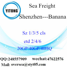Shenzhen Port Sea Freight Shipping To Banana